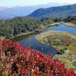 Associazione Ecomuseo della Montagna Pistoiese